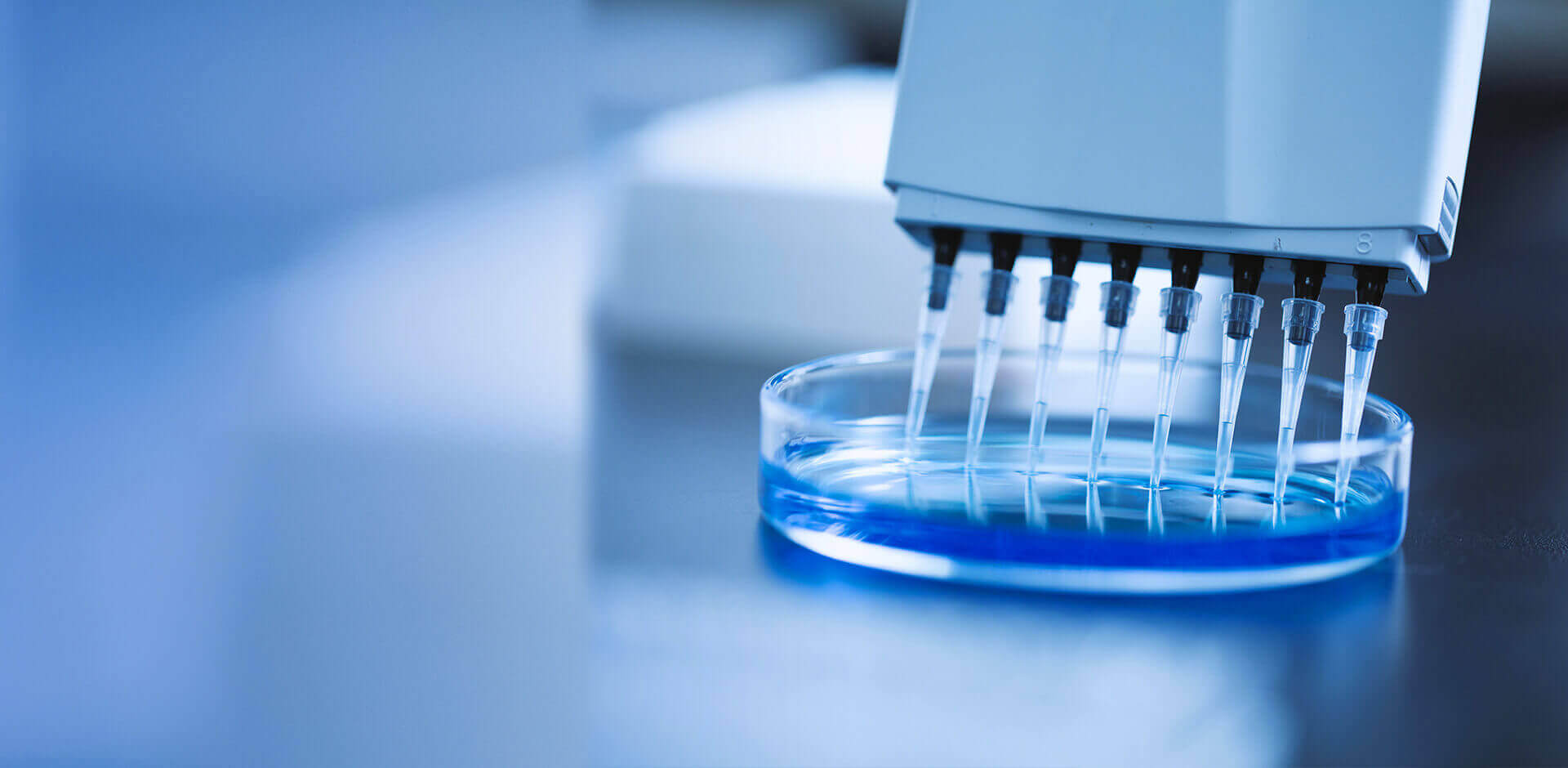 Nanjing Liwei Chemical Co., Ltd