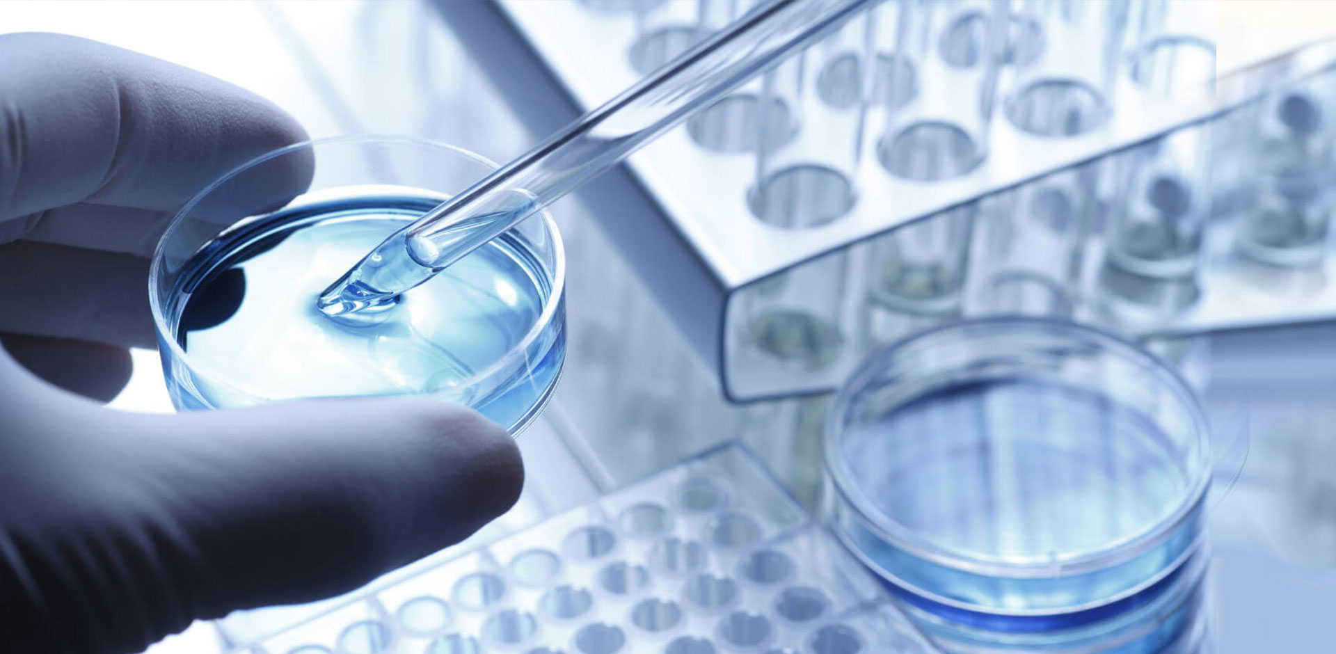 Nanjing Liwei Chemical Co., Ltd